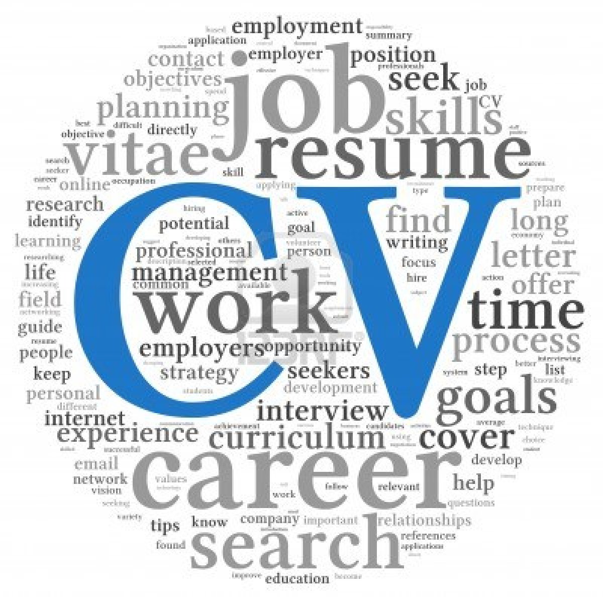 tips for a successful cv in nl